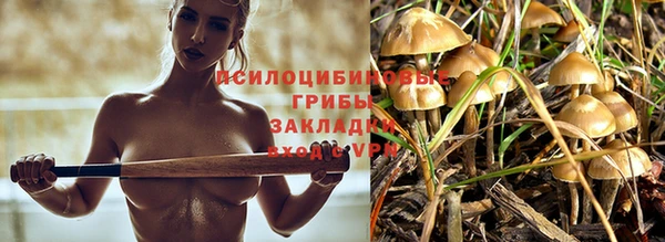 ПСИЛОЦИБИНОВЫЕ ГРИБЫ Алзамай