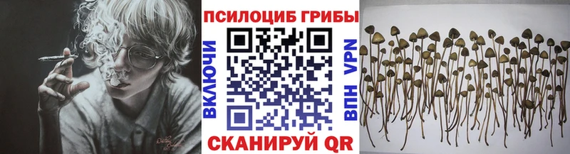 Галлюциногенные грибы мицелий  цена   Комсомольск 